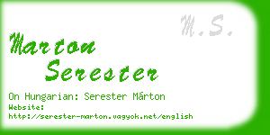 marton serester business card